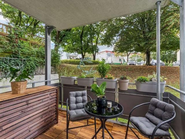 Wohnung zum Kaufen in Bonn Mehlem 269.000,00 EUR 60 m²