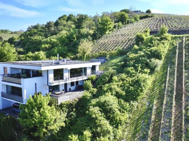 Wohnung zum Kaufen in Bad Neienahr Ahrweiler 990.000,00 EUR 320 m²