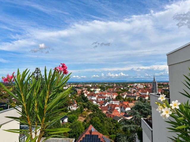 Wohnung zum Kaufen in Bad Dürkheim 359.000,00 EUR 131 m²