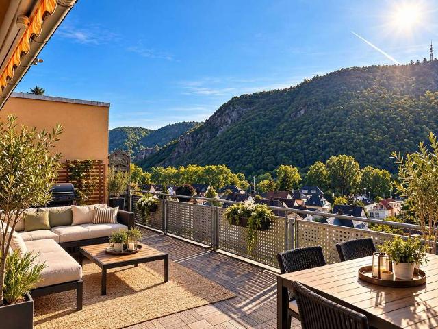 Wohnung zum Kaufen in Bad Kreuznach 489.000,00 EUR 190 m²
