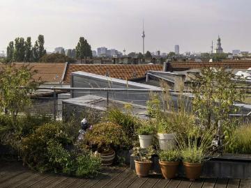 Wohnung zum Kaufen in Berlin 1.250.000,00 EUR 144 m²