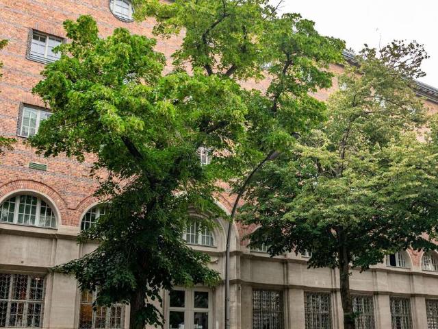 Wohnung zum Kaufen in Berlin 1.250.000,00 EUR 163.29 m²