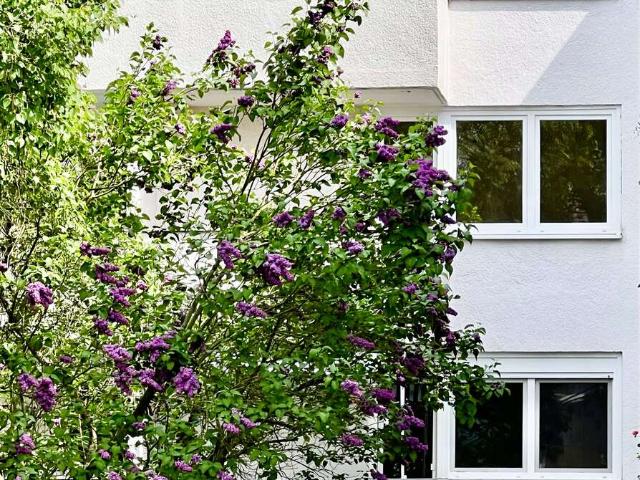 Wohnung zum Kaufen in Berlin 265.000,00 EUR 67 m²