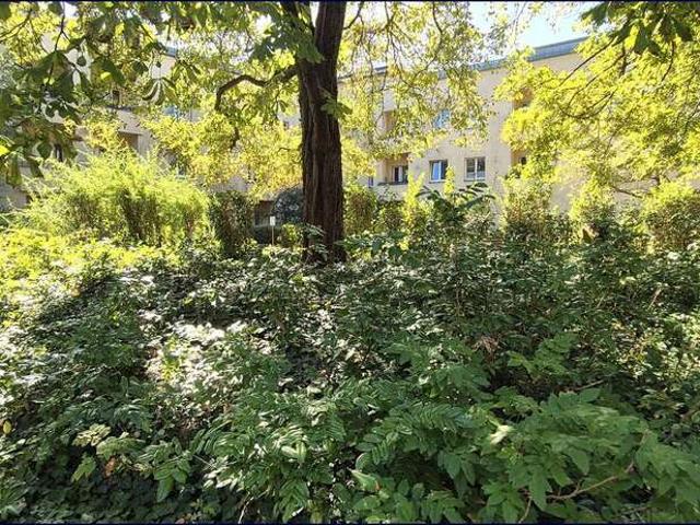 Wohnung zum Kaufen in Berlin 269.000,00 EUR 65 m²