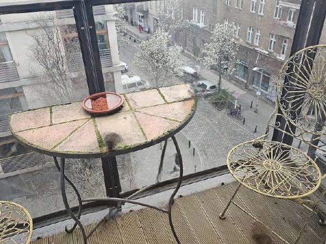 Wohnung zum Kaufen in Berlin 299.000,00 EUR 40.23 m²