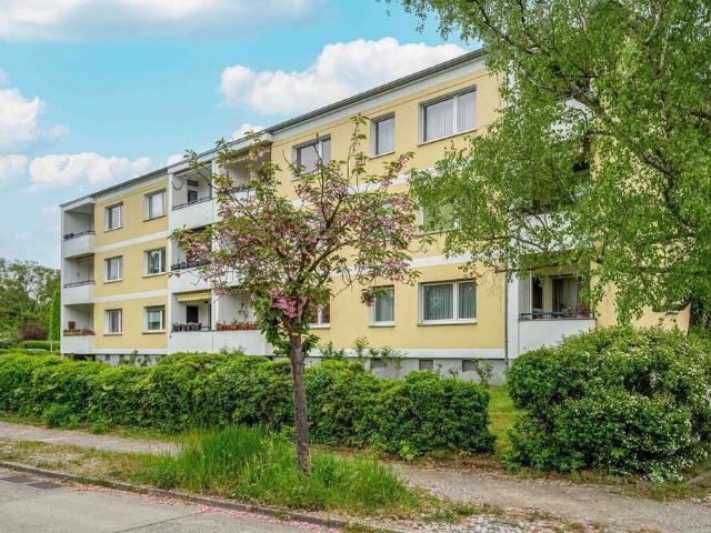 Wohnung zum Kaufen in Berlin 345.000,00 EUR 74.04 m²