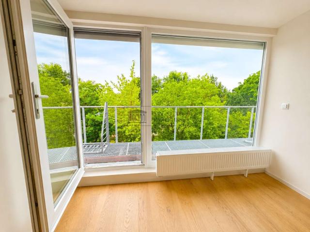 Wohnung zum Kaufen in Berlin 310.000,00 EUR 49.02 m²