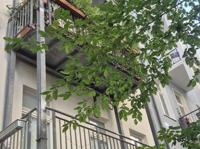 Wohnung zum Kaufen in Berlin 310.000,00 EUR 55 m²