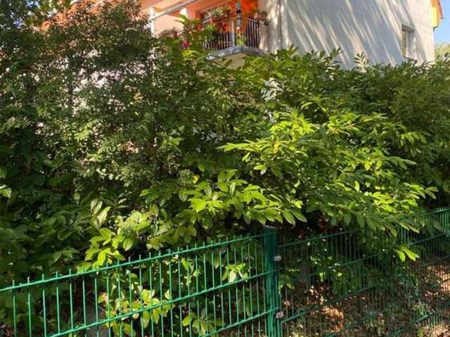 Wohnung zum Kaufen in Berlin 329.000,00 EUR 71.52 m²
