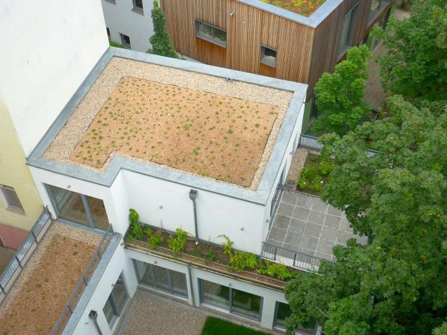 Wohnung zum Kaufen in Berlin 3.190.000,00 EUR 265 m²