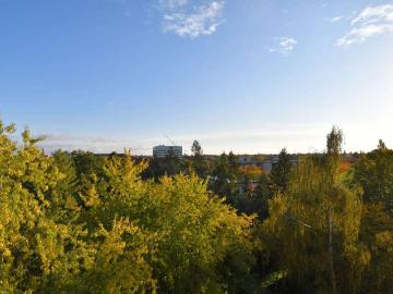 Wohnung zum Kaufen in Berlin 450.000,00 EUR 87 m²