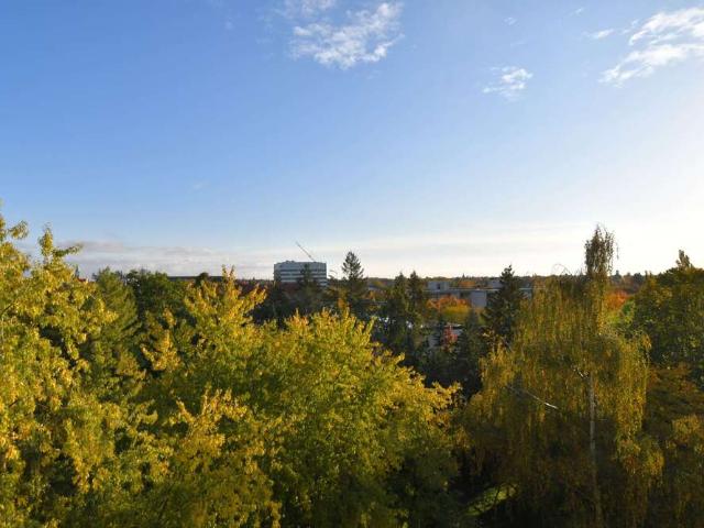 Wohnung zum Kaufen in Berlin 450.000,00 EUR 87 m²