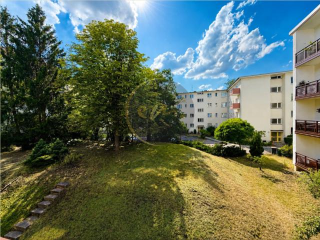 Wohnung zum Kaufen in Berlin 450.000,00 EUR 81.65 m²