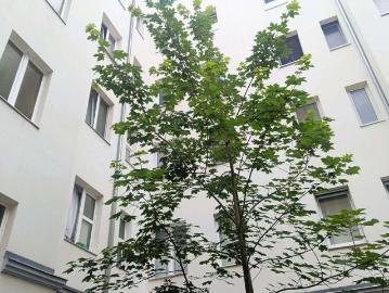 Wohnung zum Kaufen in Berlin 489.000,00 EUR 73 m²
