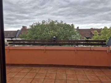 Wohnung zum Kaufen in Berlin 698.000,00 EUR 100 m²
