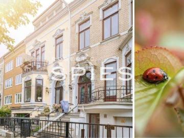Wohnung zum Kaufen in Bremen 680.000,00 EUR 190 m²
