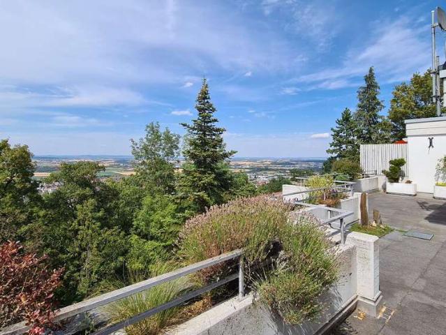 Wohnung zum Kaufen in Gerlingen 565.000,00 EUR 133 m²