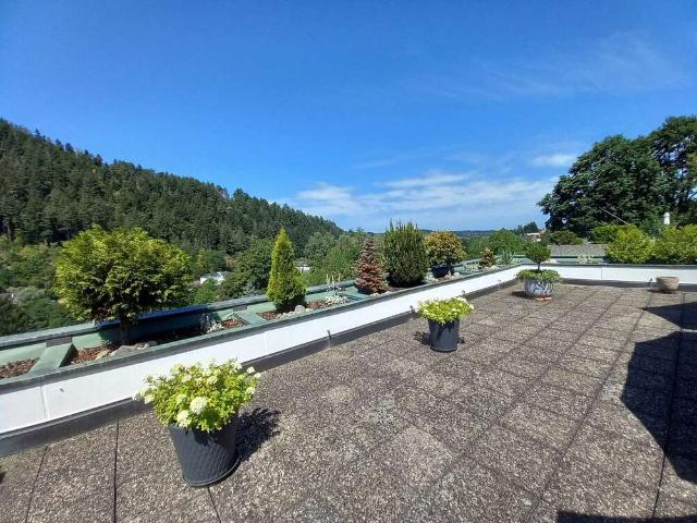 Wohnung zum Kaufen in Gernsbach 311.000,00 EUR 156 m²