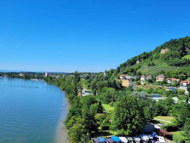 Wohnung zum Kaufen in Grenzach Wyhlen 529.000,00 EUR 91.9 m²