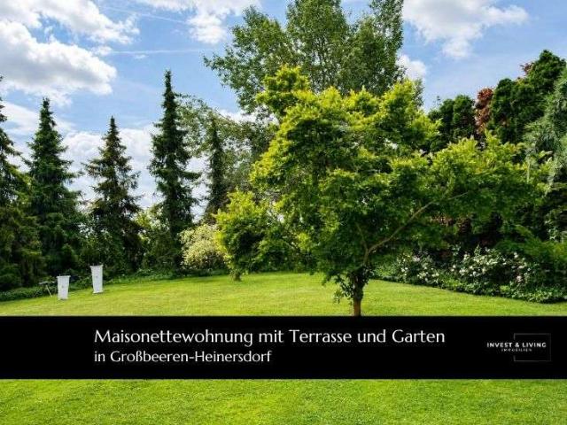 Wohnung zum Kaufen in Großbeeren Heinersdorf 450.000,00 EUR 164.63 m²