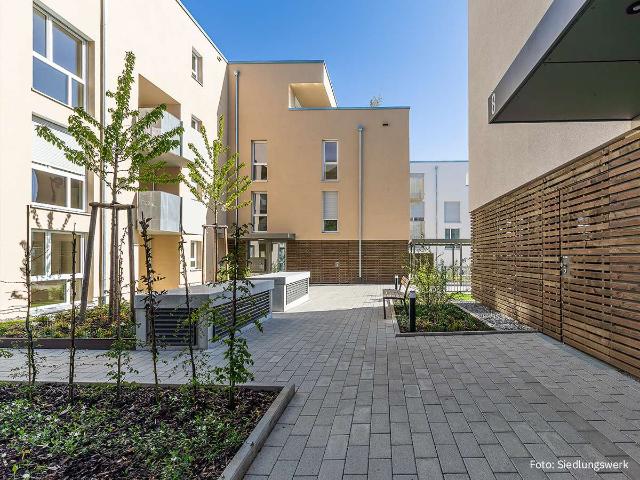 Wohnung zum Kaufen in Dornstadt 274.000,00 EUR 48.85 m²