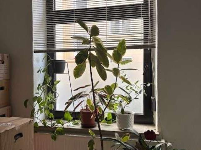 Wohnung zum Kaufen in Dortmund 250.000,00 EUR 77 m²
