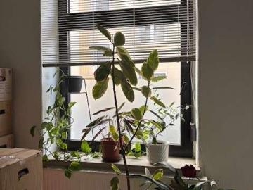 Wohnung zum Kaufen in Dortmund 250.000,00 EUR 77 m²