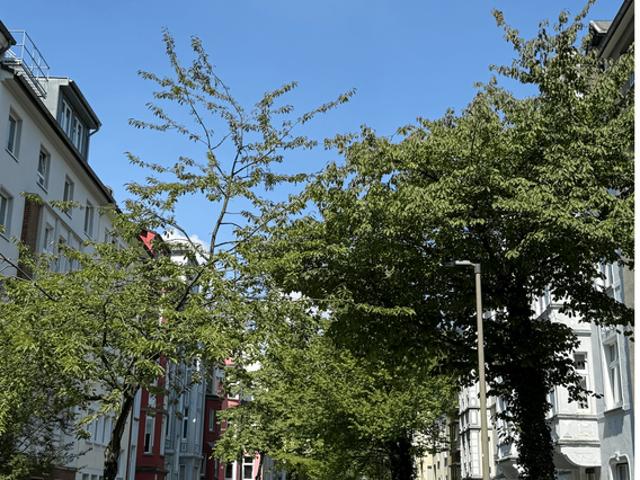 Wohnung zum Kaufen in Dortmund 649.000,00 EUR 160 m²
