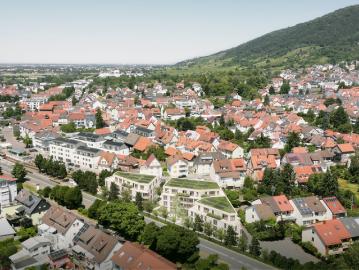 Dossenheim, Rhein-Neckar, Rhein-Neckar-Kreis, Baden-Württemberg