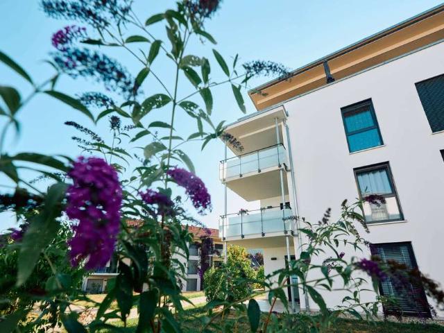 Wohnung zum Kaufen in Denkingen 312.500,00 EUR 76.82 m²