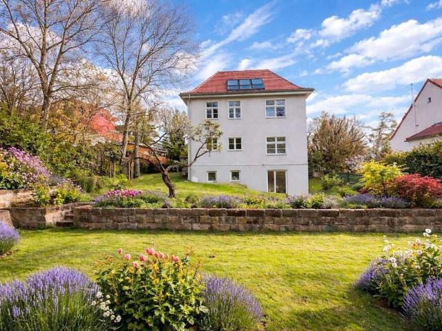 Wohnung zum Kaufen in Dresden 697.500,00 EUR 167 m²