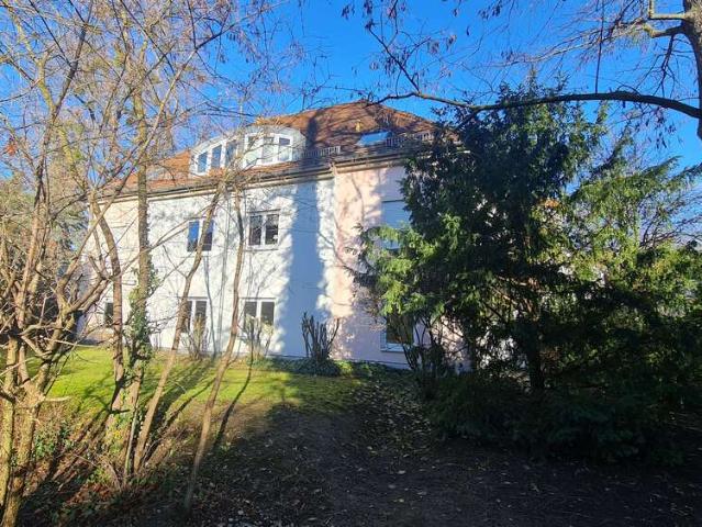 Wohnung zum Kaufen in Dresden 1.180.123,00 EUR 329 m²