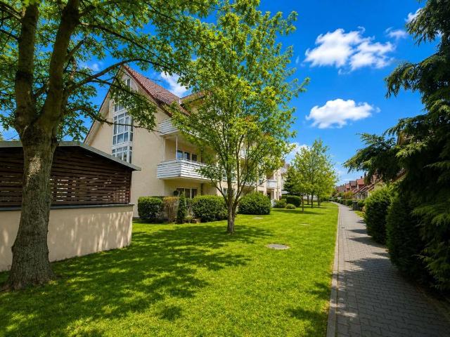 Wohnung zum Kaufen in Dresden 250.000,00 EUR 98 m²