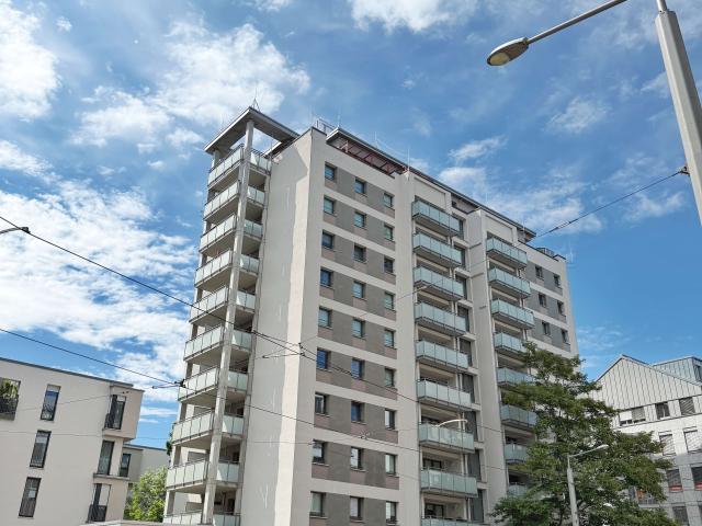 Wohnung zum Kaufen in Dresden 365.000,00 EUR 97.4 m²