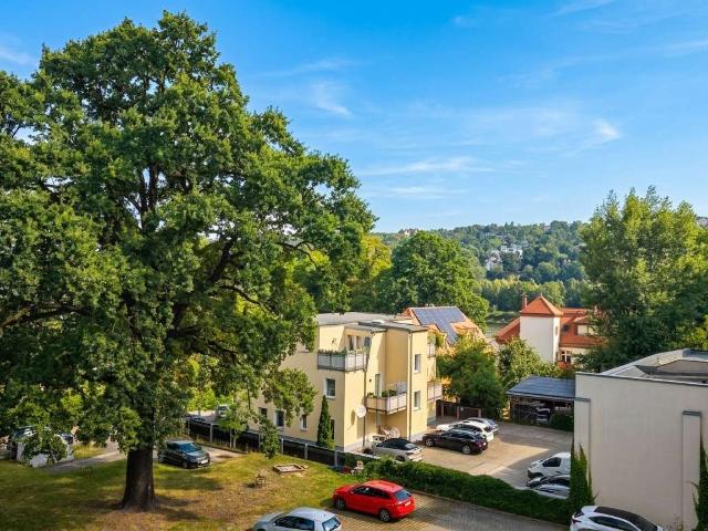 Wohnung zum Kaufen in Dresden Blasewitz 517.500,00 EUR 103.46 m²