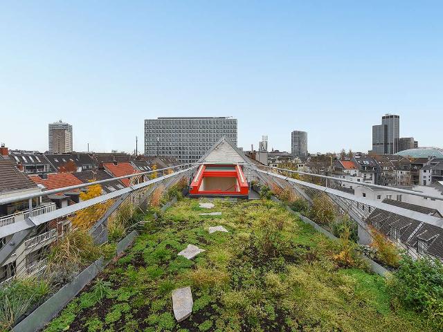 Wohnung zum Kaufen in Düsseldorf 1.980.000,00 EUR 187.82 m²