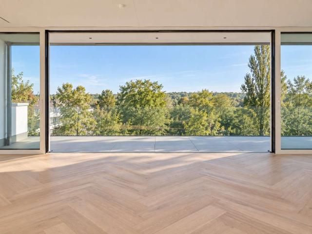 Wohnung zum Kaufen in Düsseldorf Zoo 1.725.000,00 EUR 219 m²