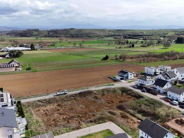 Wohnung zum Kaufen in Endingen am Kaiserstuhl 570.000,00 EUR 101.83 m²