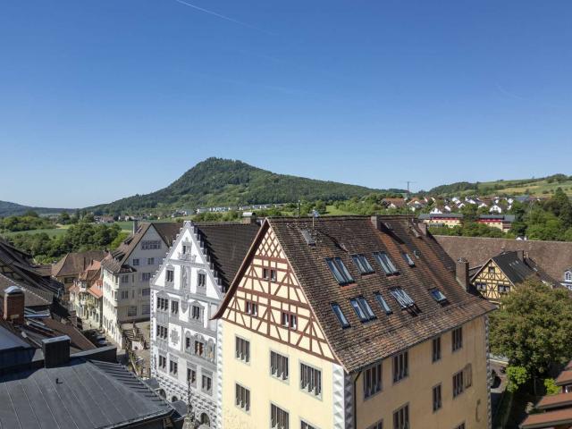 Wohnung zum Kaufen in Engen 470.000,00 EUR 180 m²