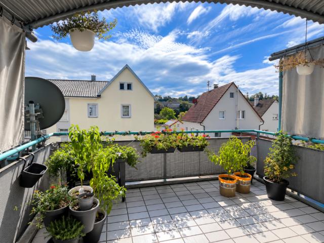Wohnung zum Kaufen in Ebersbach 279.000,00 EUR 73 m²