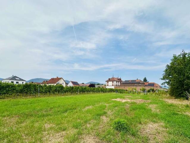 Wohnung zum Kaufen in Edesheim 799.000,00 EUR 170 m²
