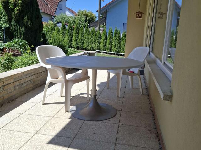 Wohnung zum Kaufen in Erbach 769.000,00 EUR 300 m²