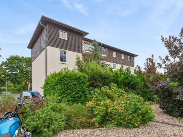 Wohnung zum Kaufen in Falkensee 265.000,00 EUR 63 m²