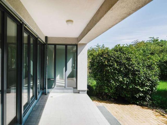 Wohnung zum Kaufen in Falkensee 280.000,00 EUR 76 m²
