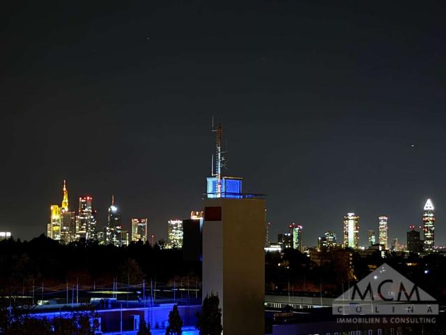Wohnung zum Kaufen in Frankfurt am Main 1.585.000,00 EUR 293 m²