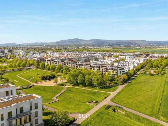 Wohnung zum Kaufen in Frankfurt am Main 999.000,00 EUR 195 m²