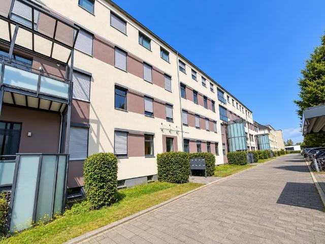 Wohnung zum Kaufen in Frankfurt 1.280.000,00 EUR 251 m²