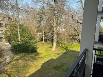 Gruneliusstraße, Im Teller