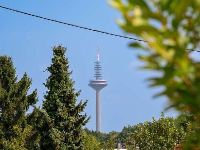 Wohnung zum Kaufen in Frankfurt 598.000,00 EUR 117 m²