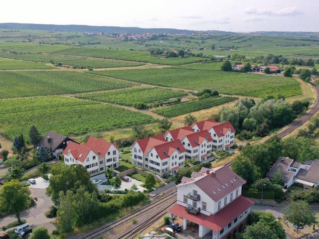 Wohnung zum Kaufen in Freinsheim 584.000,00 EUR 103 m²